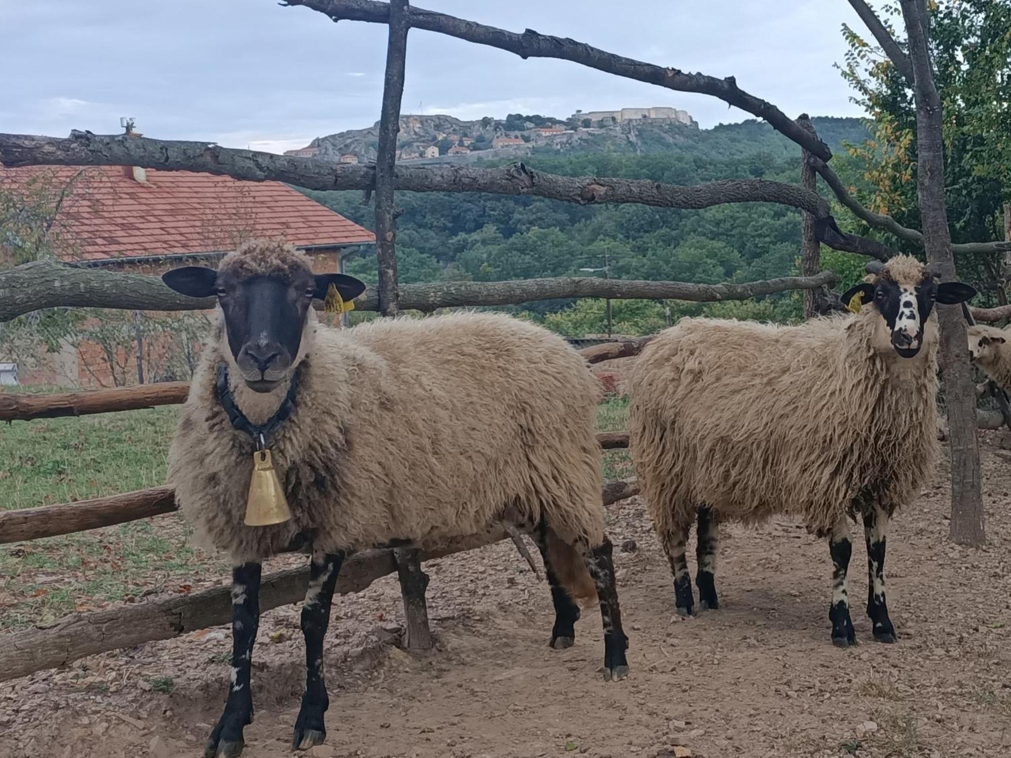 Chez Marthe, Organic Farm Stay Knin Exterior foto